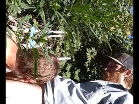 Gay underwear party with hot blowjobs and anal sex in a 420 themed setting